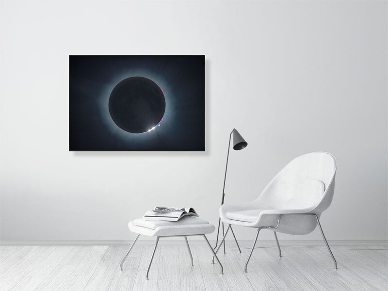 9256398-3627531