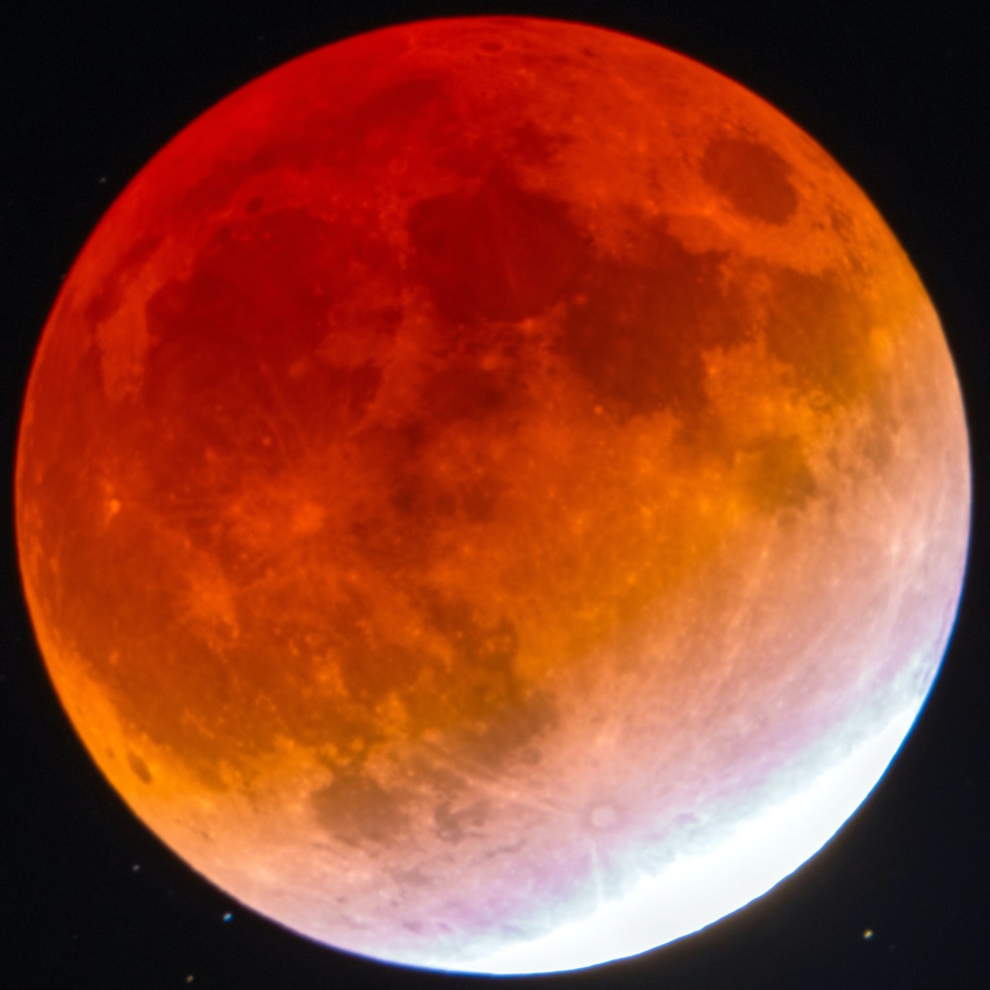 Blood Moon of November 2021 Mobile Wallpaper