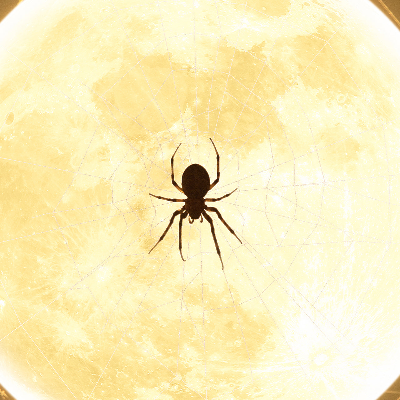 Spookie Moon October 2022 Mobile Wallpaper