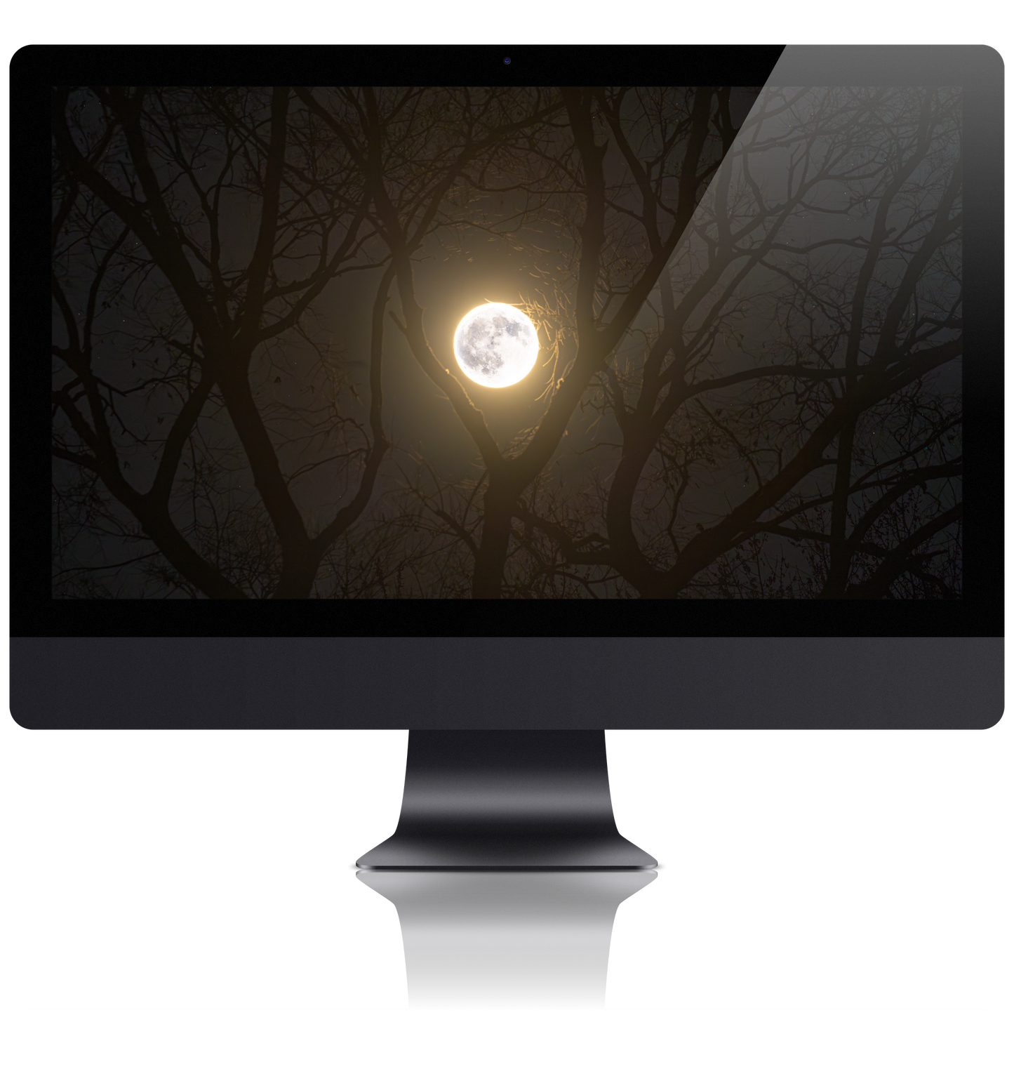 Full Beaver Moon of November 27th 2023 PC Wallpaper