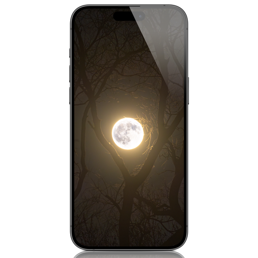 Full Beaver Moon of November 27th 2023 Mobile Wallpaper