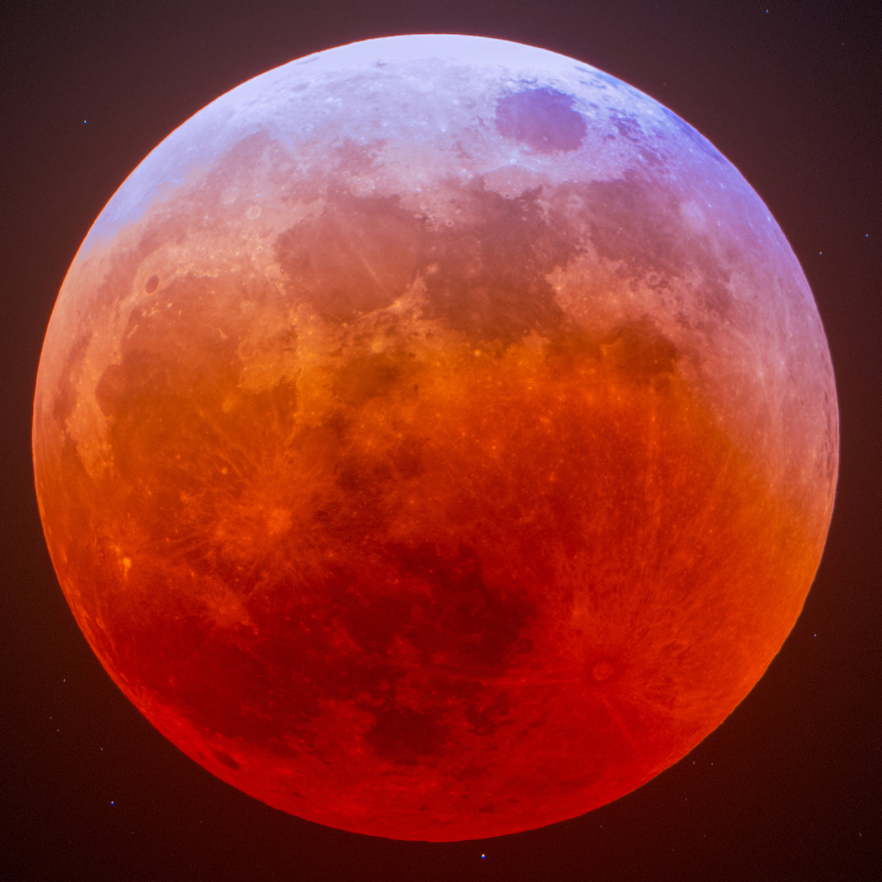 Blood Moon of November 8th 2022 Mobile Wallpaper