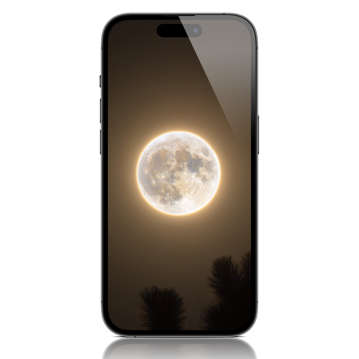 Full Harvest Moon of October 1st 2020 Mobile Wallpaper
