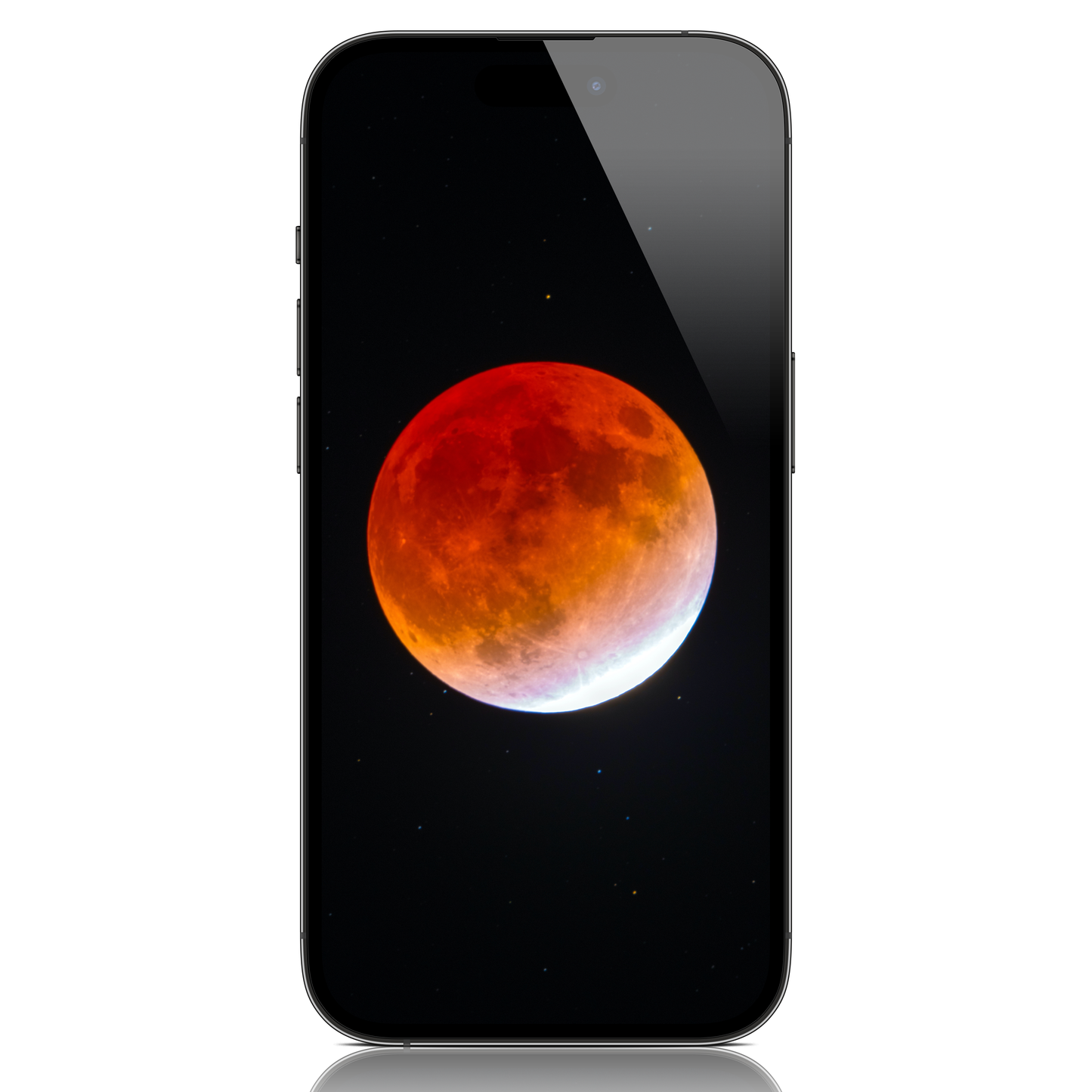 Blood Moon of November 2021 Mobile Wallpaper